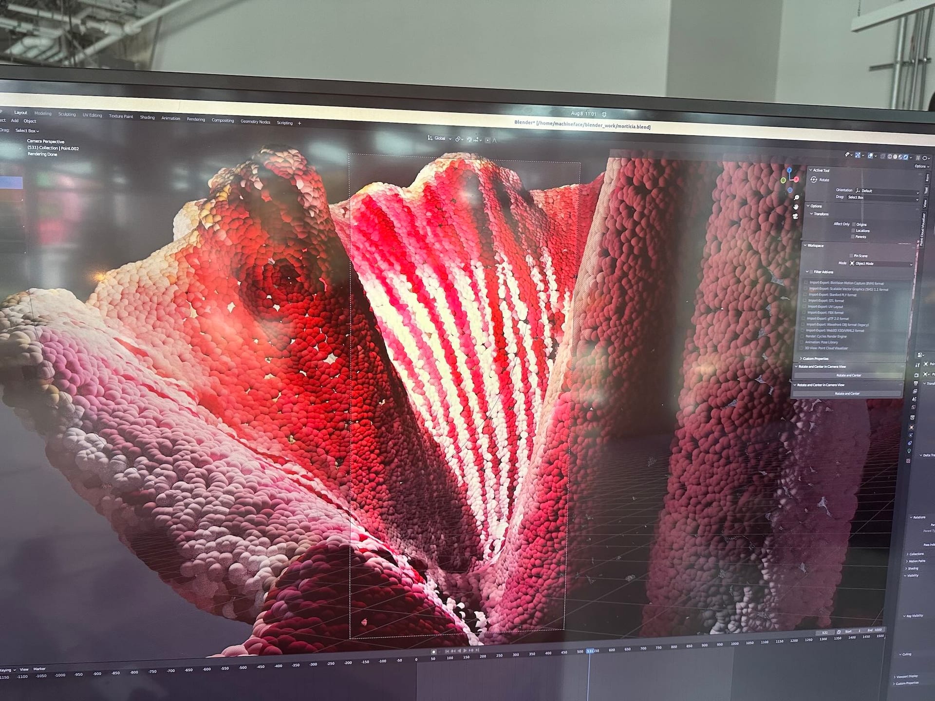 IMG 4227 — Corpse Flower Scan by Joshua Borsman