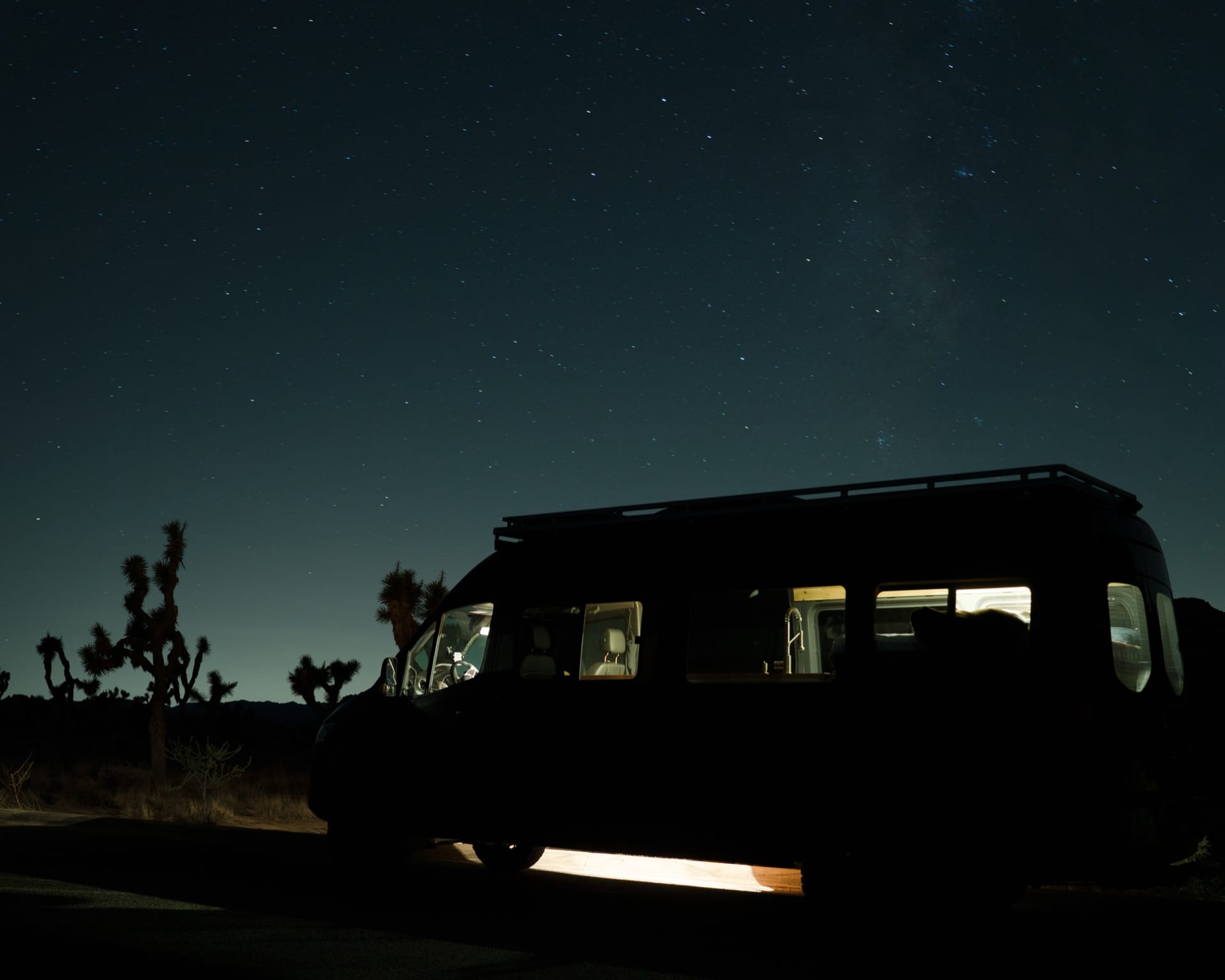 Joshua Tree — Ender by Joshua Borsman