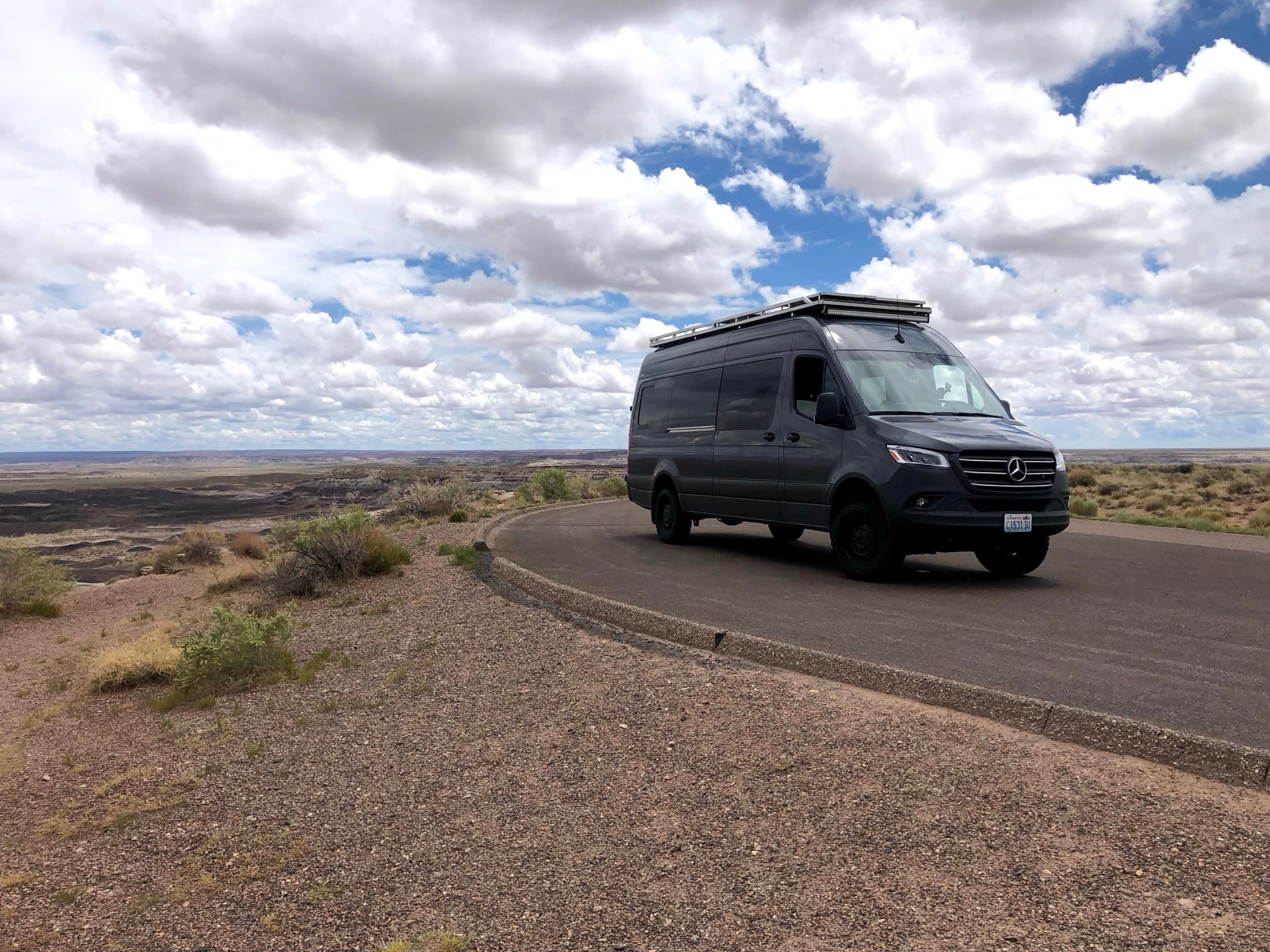 Petrified Forest — Ender by Joshua Borsman