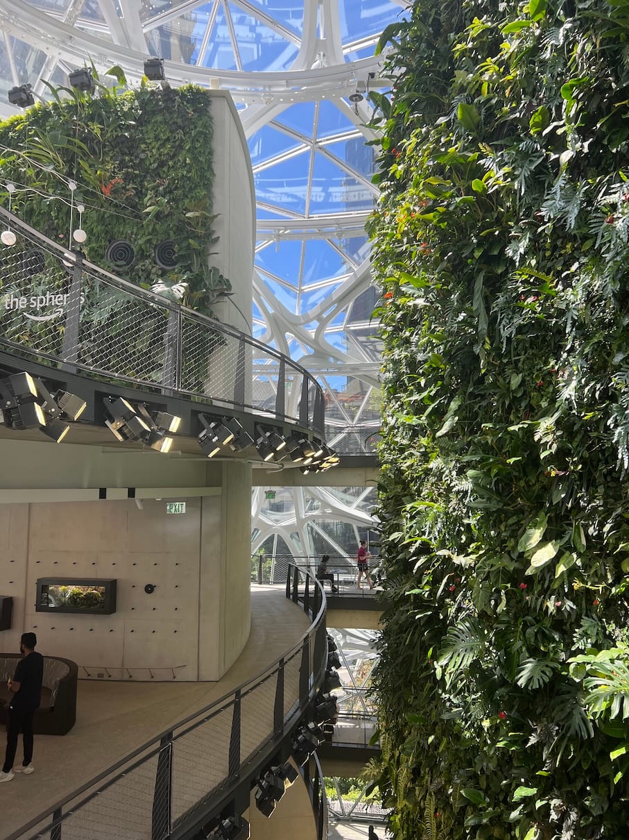 IMG 3550 — Seeing With Computers by Joshua Borsman